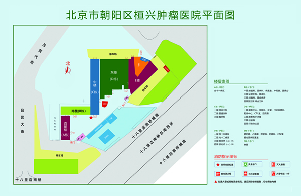 男人插女人下面二级黄片北京市朝阳区桓兴肿瘤医院平面图